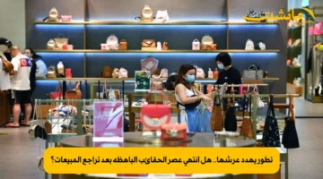 تطور يهدد عرشها.. هل انتهى عصر الحقائب الباهظة بعد تراجع المبيعات؟